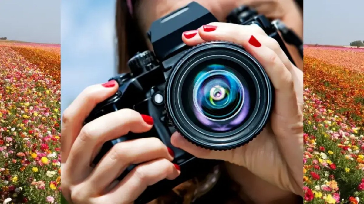 Join 'Photography Day' at The Flower Fields – NBC Bay Area - Vimarsana News