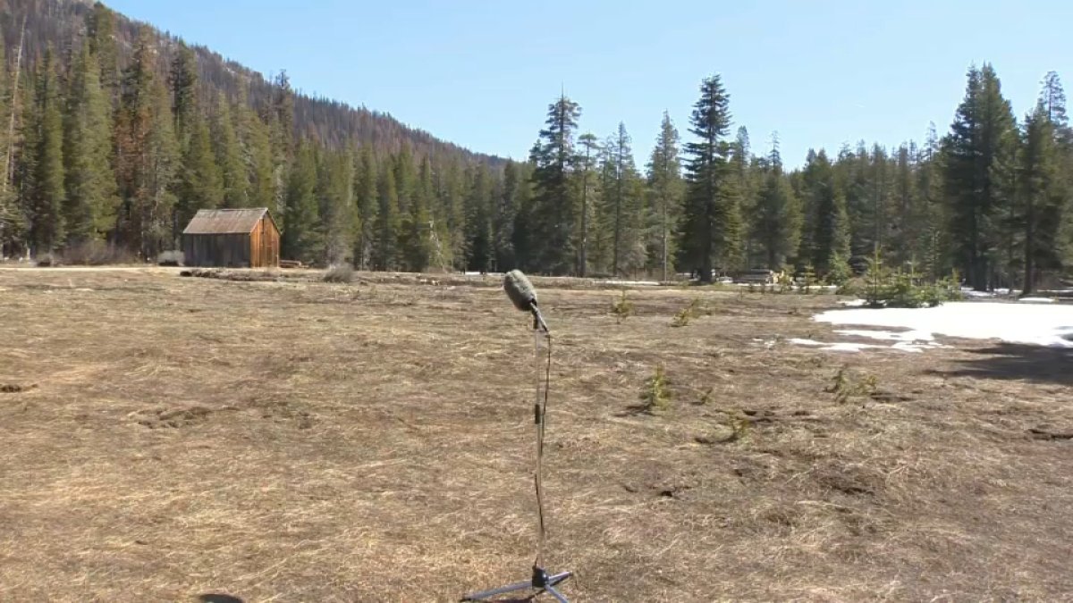 California Drought Deepens as Wet Season Is Anything But – NBC Bay Area