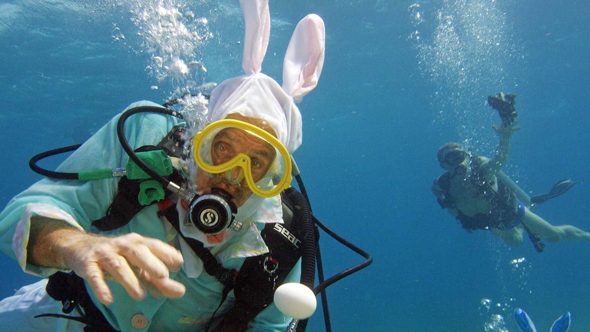 Underwater Easter Egg Hunt Features Scuba Diving Easter Bunny Off Florida Keys - Vimarsana News