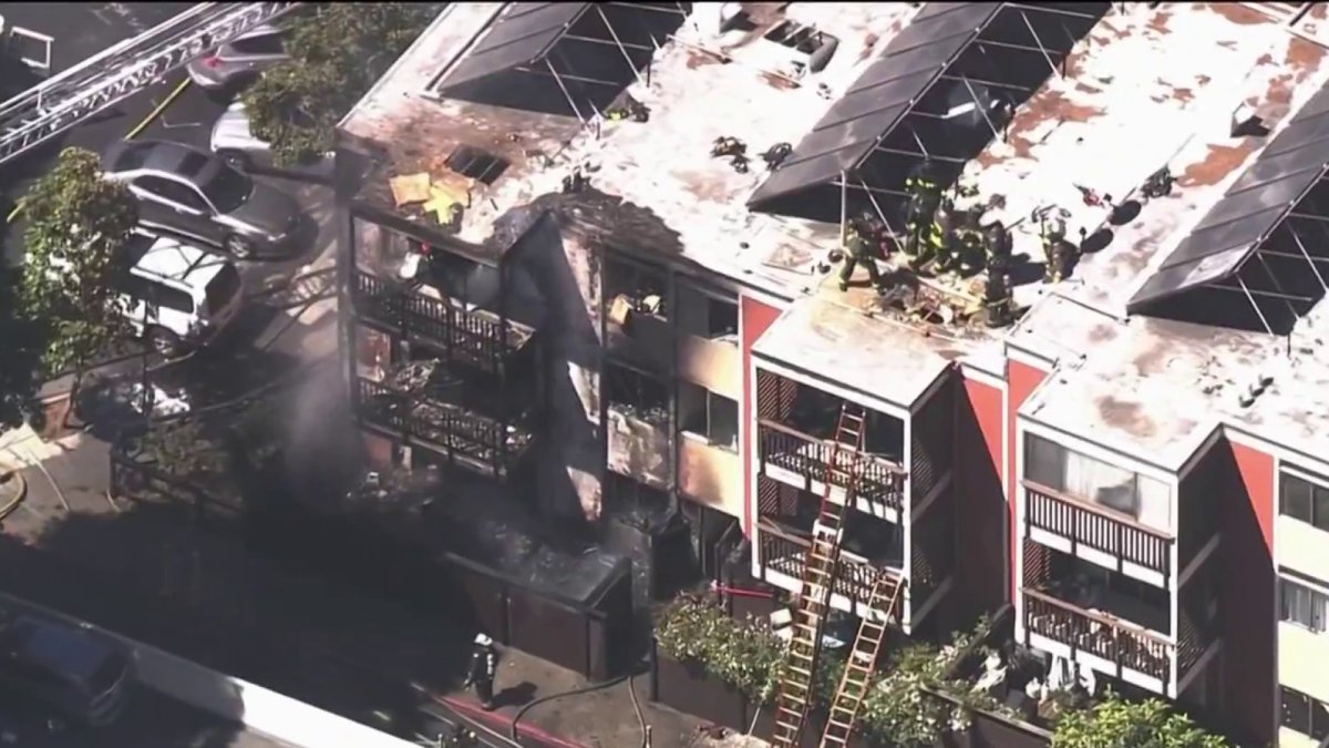 Folks Rescued From Burning Constructing in San Francisco – NBC Bay Space Folks Rescued From Burning Constructing in San Francisco – NBC Bay Space