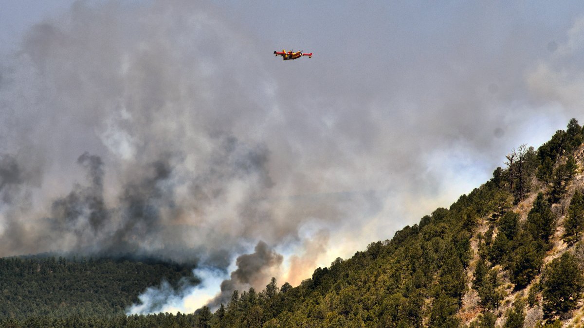 Biden Declares Disaster in New Mexico for Largest Wildfire in US – NBC Bay Area - Vimarsana News