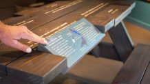 A picnic table with a rotating panel that opens to reveal illustrations and text about birds found in the park.