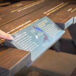 A picnic table with a rotating panel that opens to reveal illustrations and text about birds found in the park.