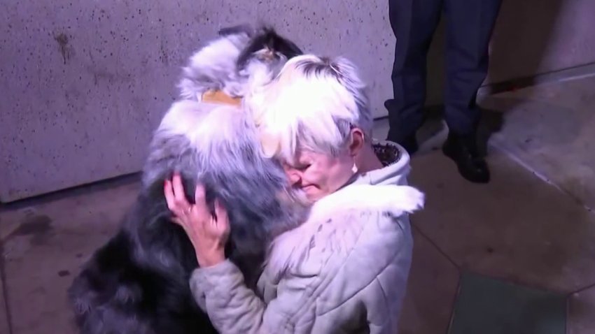 Mason Gray, a pediatric nurse, and Bexley, her 6-year-old Australian Sheepdog, were reunited Monday night.