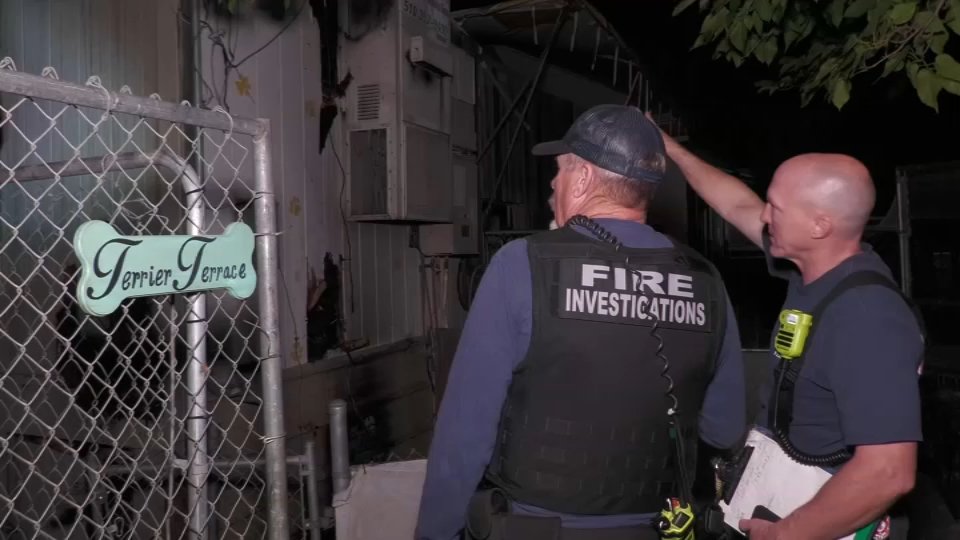 4 Dogs Die, Several Rescued in Fire at Brentwood Kennel - Vimarsana News