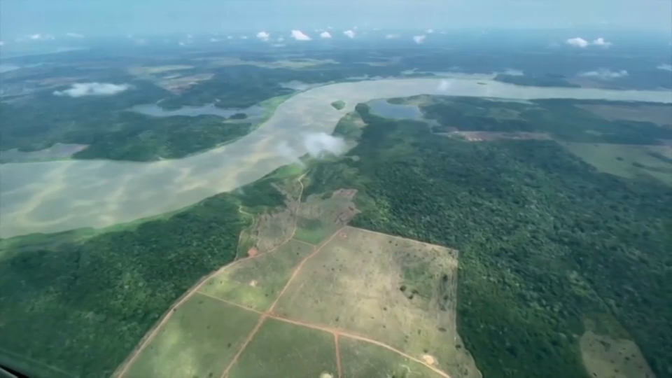 Deforestation Of Amazon Rainforests Surges To Record Level – NBC Bay Area