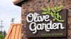 ‘If Your Dog Died…Prove It to Us': Olive Garden Manager Fired After Intense Crackdown on Call-Offs
