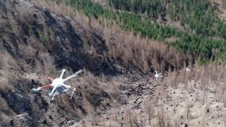 Drones reseed a charred forest in Henry Creek, Oregon.