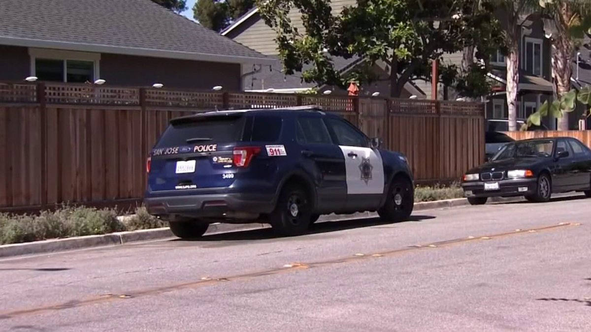 Vandalism Caught on Camera: San Jose Family Finds Dog Feces On Their Car –  NBC Bay Area