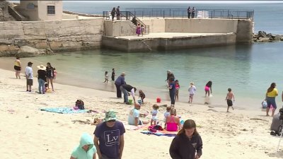 Beach Reopens After Shark Attack