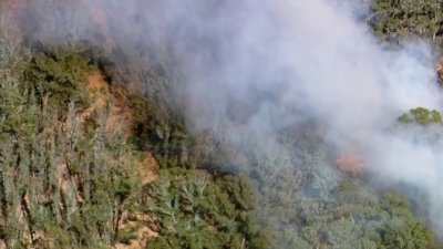 Crews Battle Vegetation Fire, Prompting Evacuations in Albany
