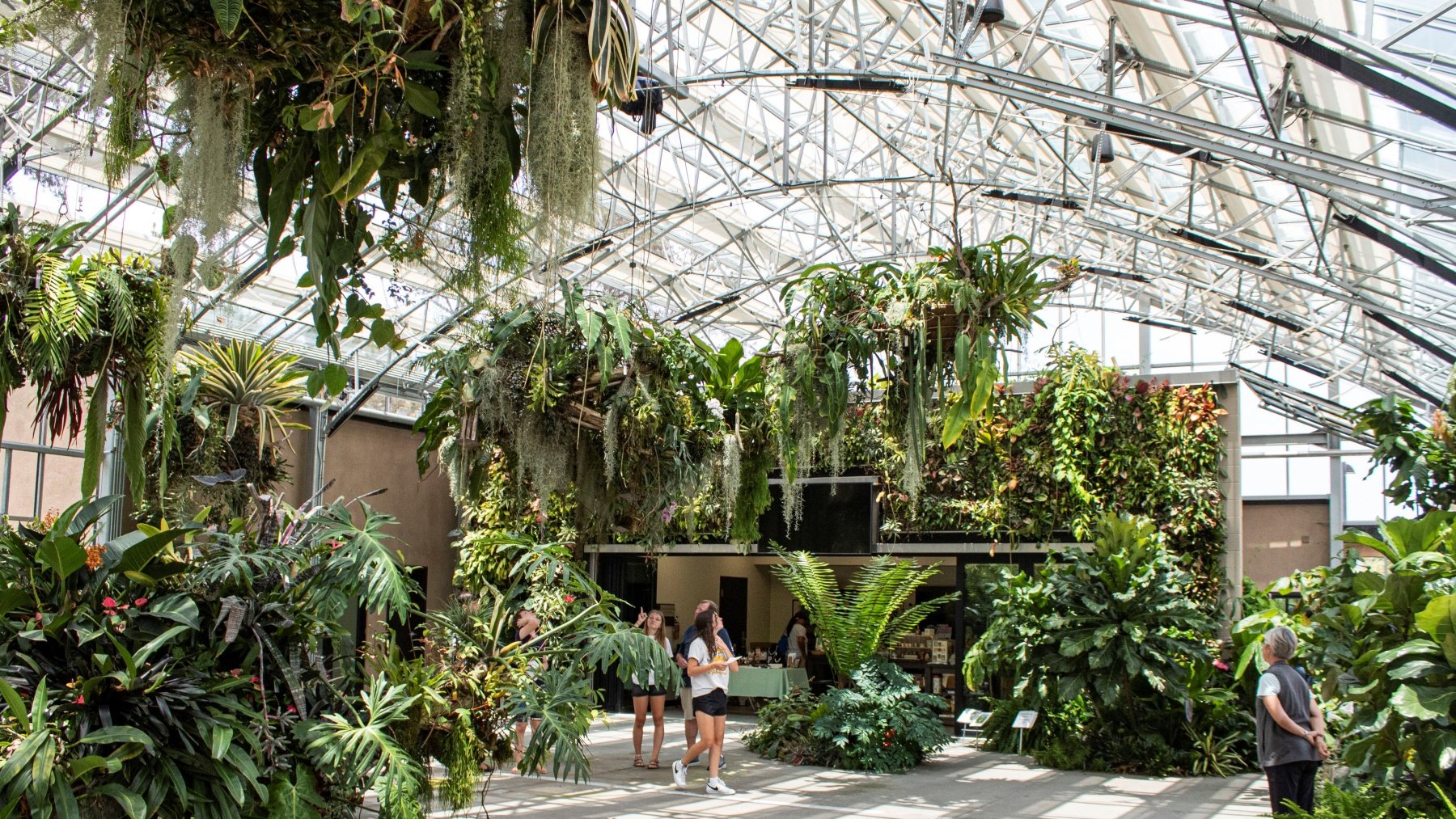 A Huge Houseplant Exhibition Will Soon Sprout - Vimarsana News