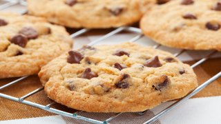 "Warm, golden brown, chocolate chip cookies cooling on a rack. Shallow depth of field."
