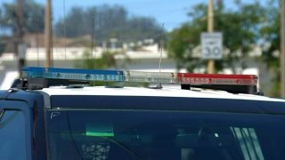 File image of a police vehicle.