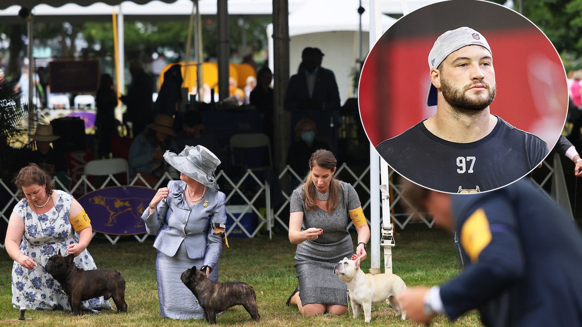 Westminster Dog Show Gets 4 Finalists, and One Has NFL Ties – NBC Bay Area - Vimarsana News