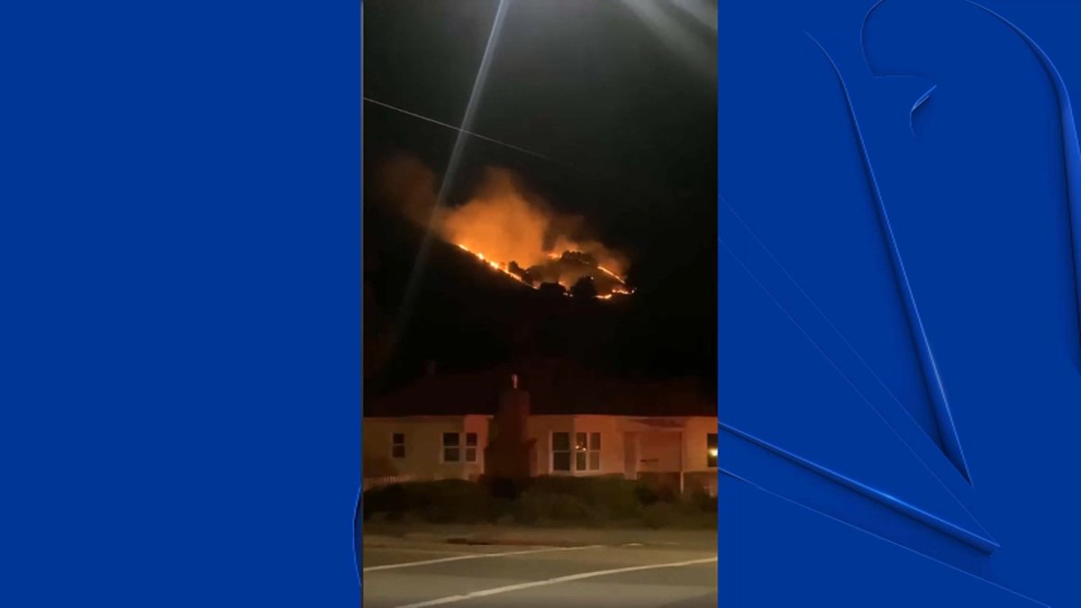 Crews Monitor Scene of Brush Fire That Burned 2.5 Acres in Oakland - Vimarsana News