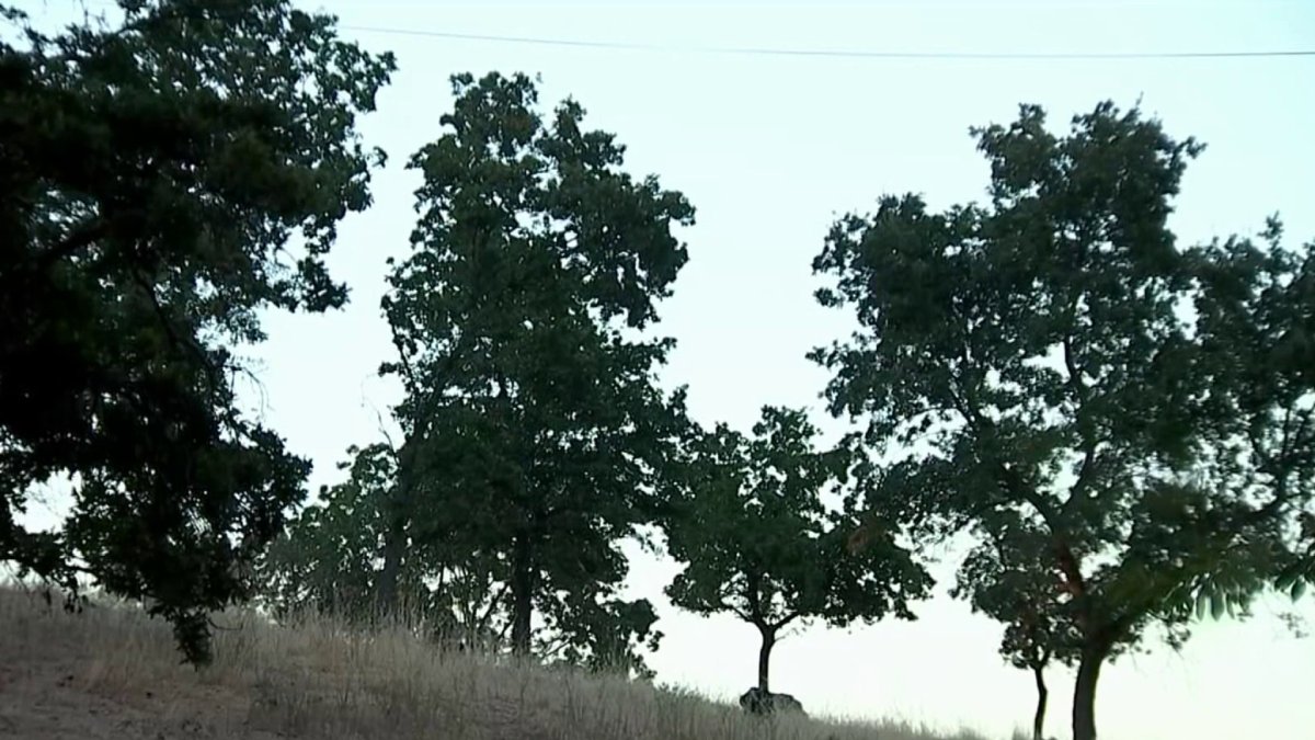 Nature vs. Housing Residents Rally Against Development Plan in Walnut