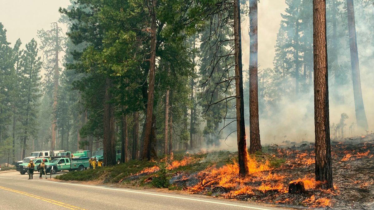 Yosemite Wildfire Grows, But Giant Sequoias Remain Protected – NBC Bay Area