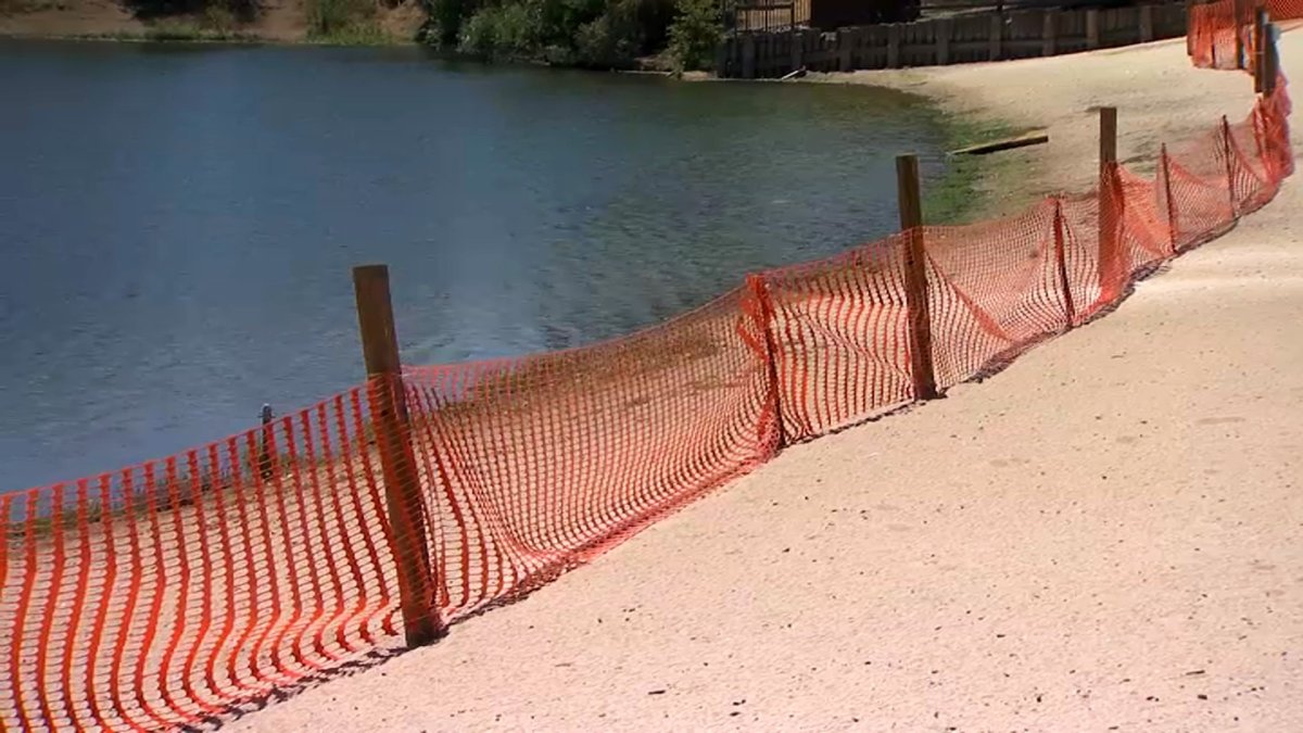 Climate in Crisis: Harmful Algal Blooms – NBC Bay Area - Vimarsana News