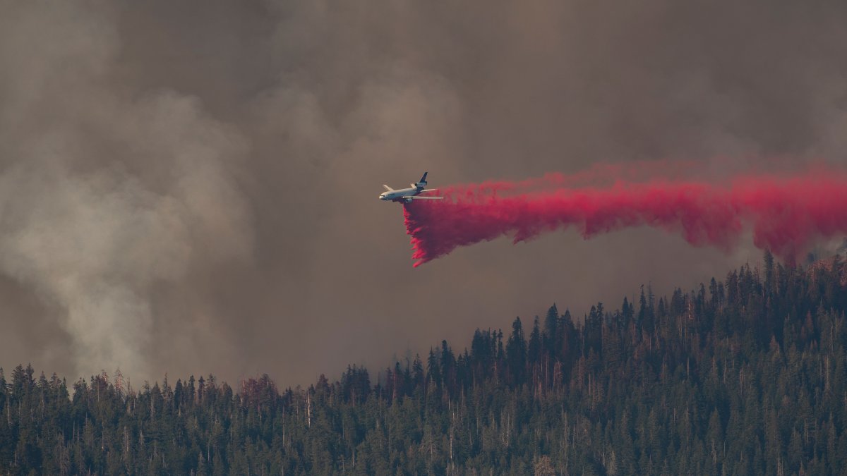 Washburn Wildfire in Yosemite Moving Into Sierra National Forest – NBC Bay Area - Vimarsana News
