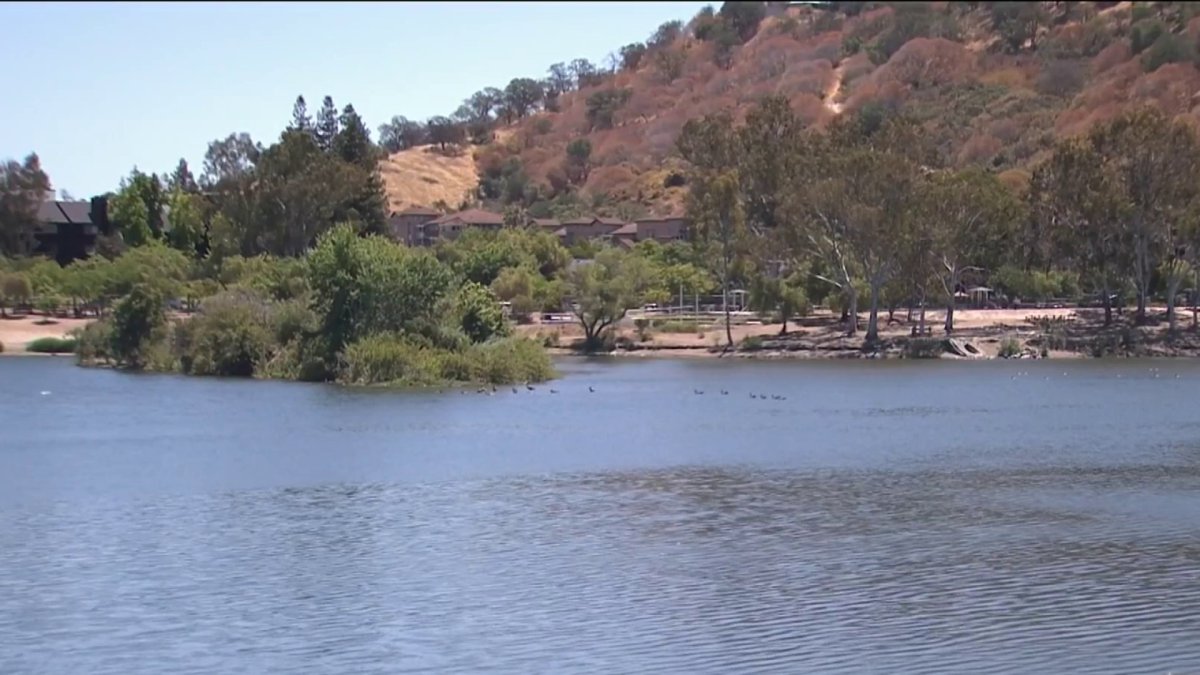 Health Officials Warn Public of Algae Bloom at Some Bay Area Lakes – NBC Bay Area - Vimarsana News