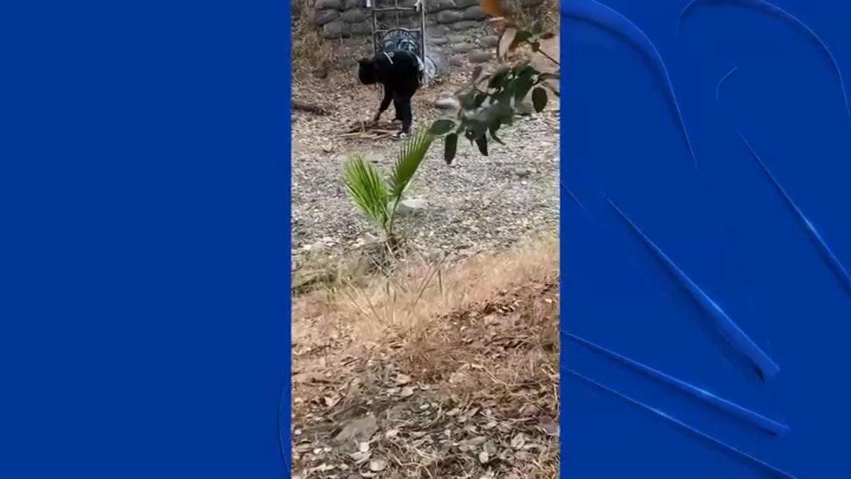 San Jose Resident Stops Apparent Arson Attempt - Vimarsana News