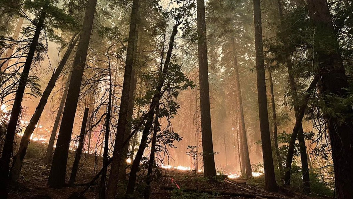 Crews Gain on Yosemite National Park, California Wildfires - Vimarsana News