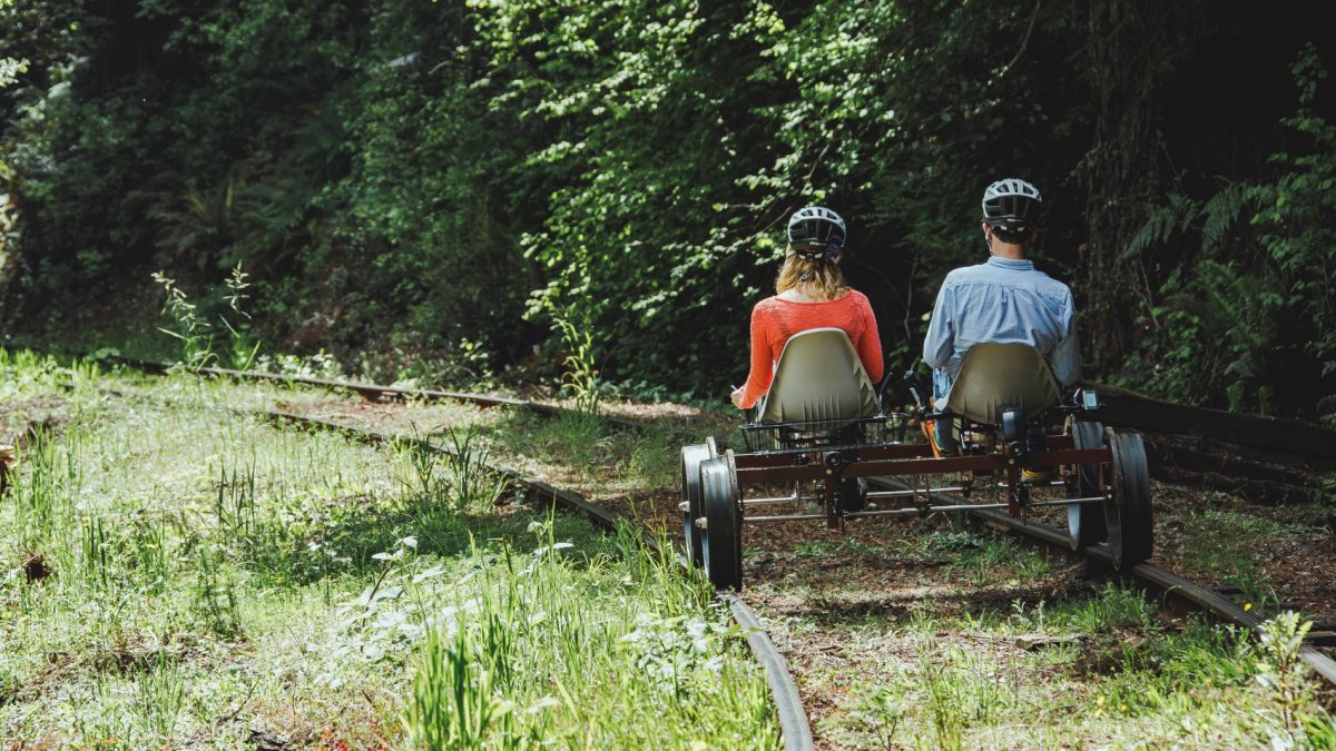 Roam the Redwoods on an Electric Railbike - Vimarsana News