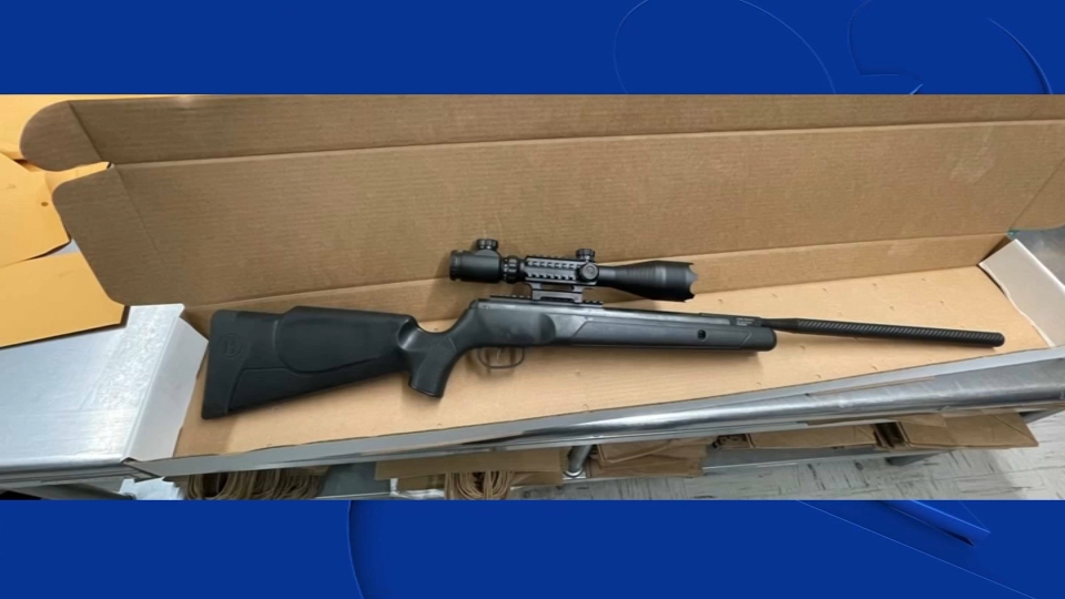 Serial Pellet Gun Sniper Arrested in San Jose NBC Bay Area