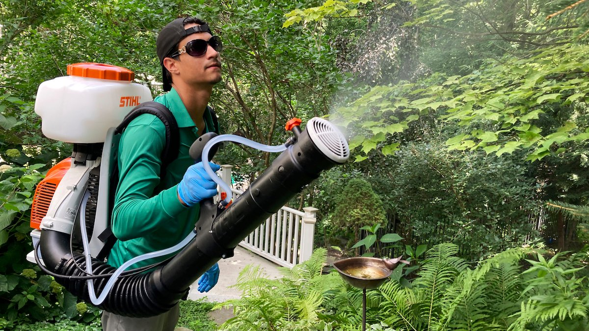 'We Need Our Pollinators': Surge in Mosquito Spraying Is Killing Ecosystems - Vimarsana News