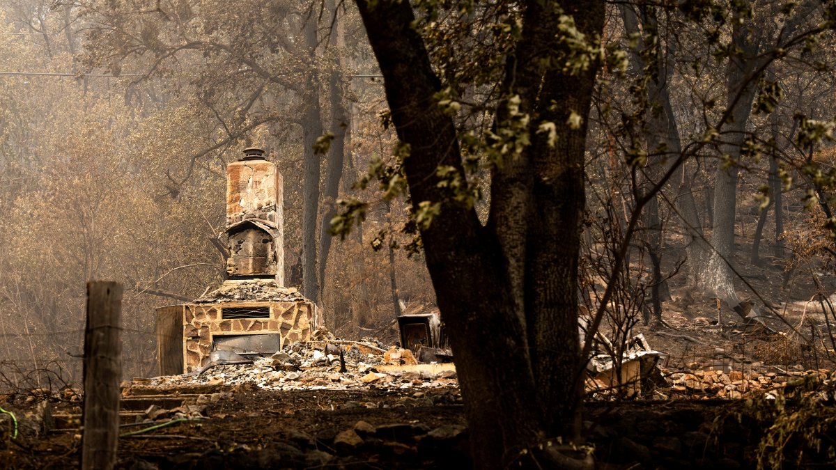 California Crews Make Fire Gains; Washington Town Evacuated - Vimarsana News
