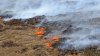 Large Wildfire Burning Amid Drought on Hawaii's Big Island
