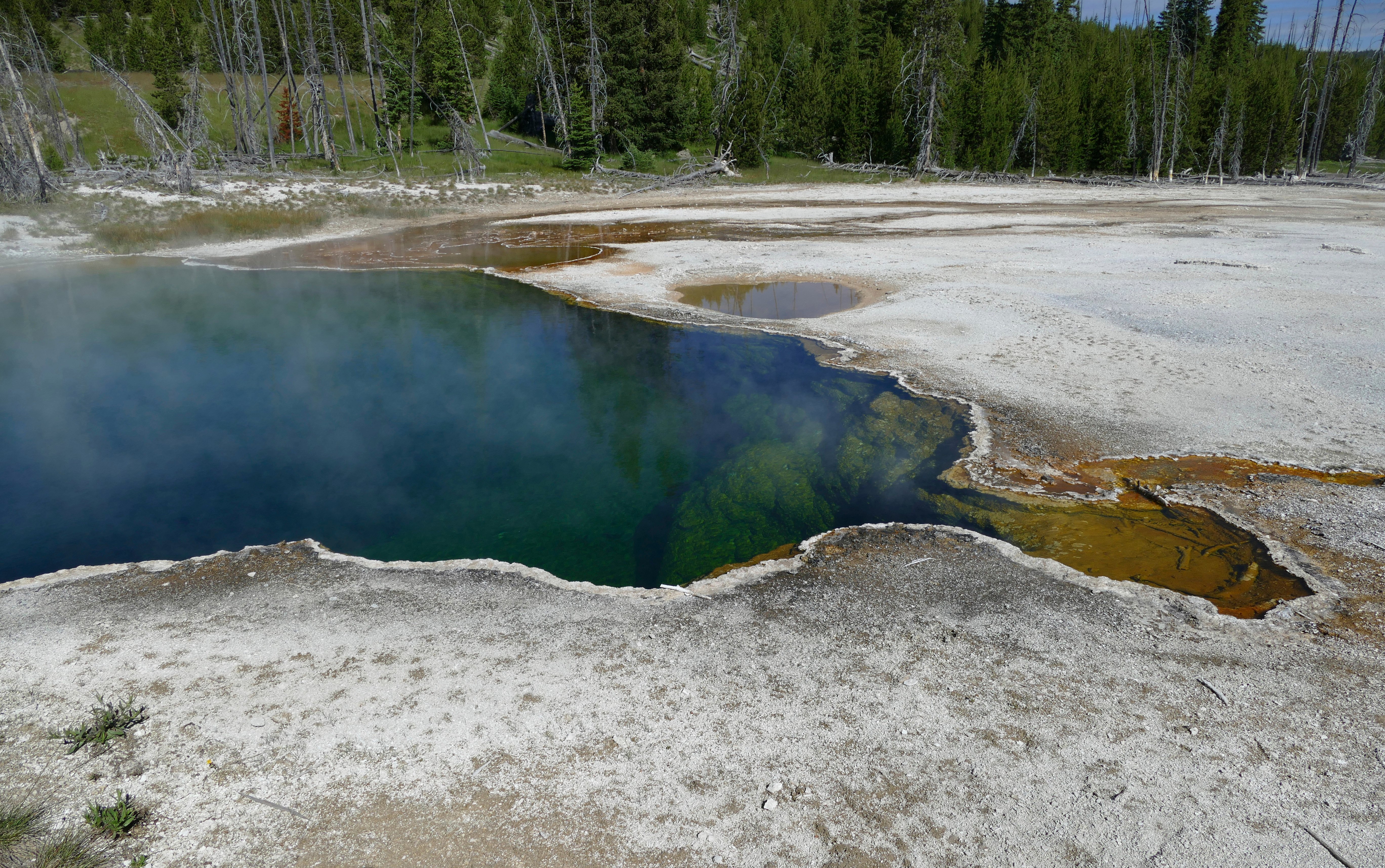Part of Foot, in Shoe, Spotted at Yellowstone - Vimarsana News