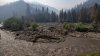McKinney Fire Near California-Oregon Border Causes Fish Deaths: Tribe