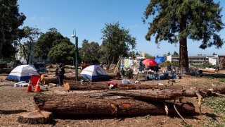 People's Park in Berkeley