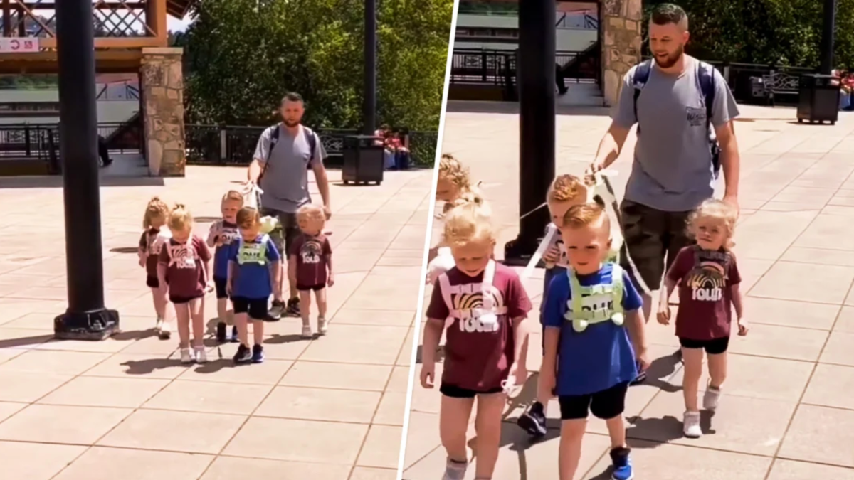 Dad Gets Shamed for Using Leash With 5-Year-Old Quintuplets – NBC Bay Area - Vimarsana News