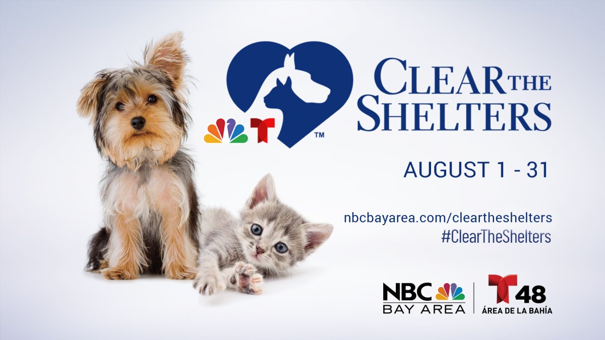 Press Release: NBC Bay Area and Telemundo 48's 'Clear The Shelters' Pet  Adoption & Donation Campaign Begins Today – NBC Bay Area
