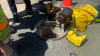 Road Construction Worker Rescued From Manhole in Morgan Hill