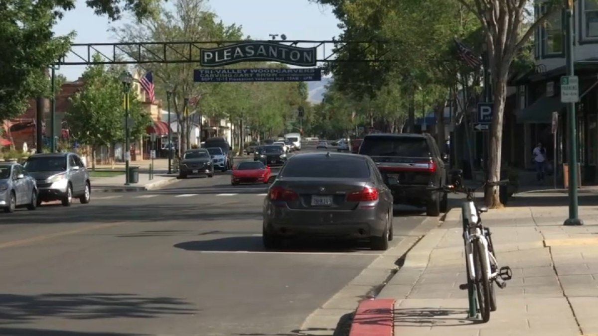 Why Does Pleasanton Have a Fly Problem? NBC Bay Area