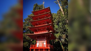 The Japanese Tea Garden’s towering red pagoda.