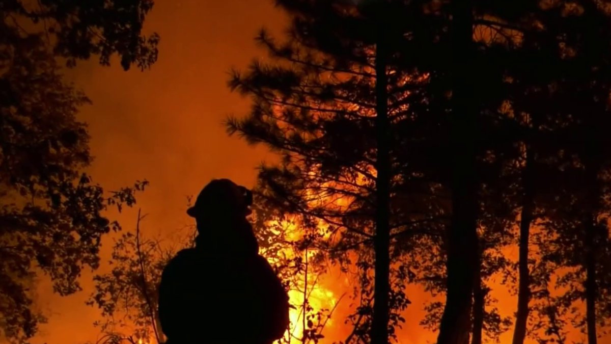 California Fires Destroy Structures, Force Residents to Flee - Vimarsana News