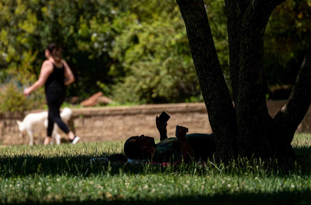 Californians Asked to Conserve Power Amid Brutal Heat Wave - Vimarsana News