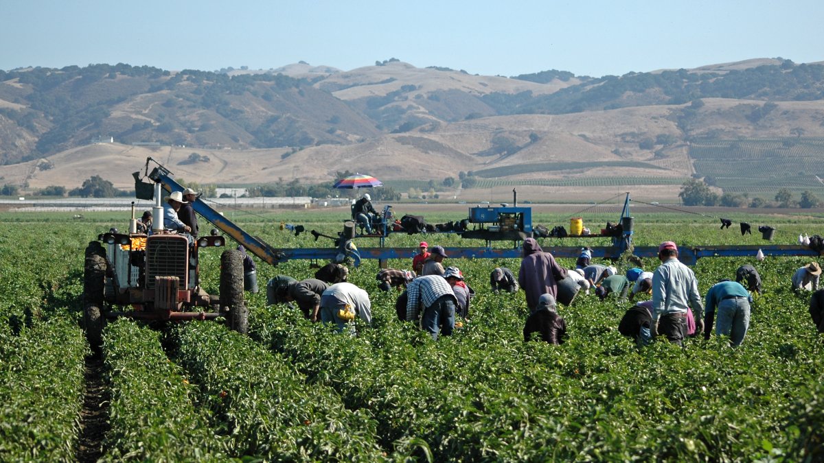 South Bay leaders say there's not enough affordable housing for farm workers - Vimarsana News