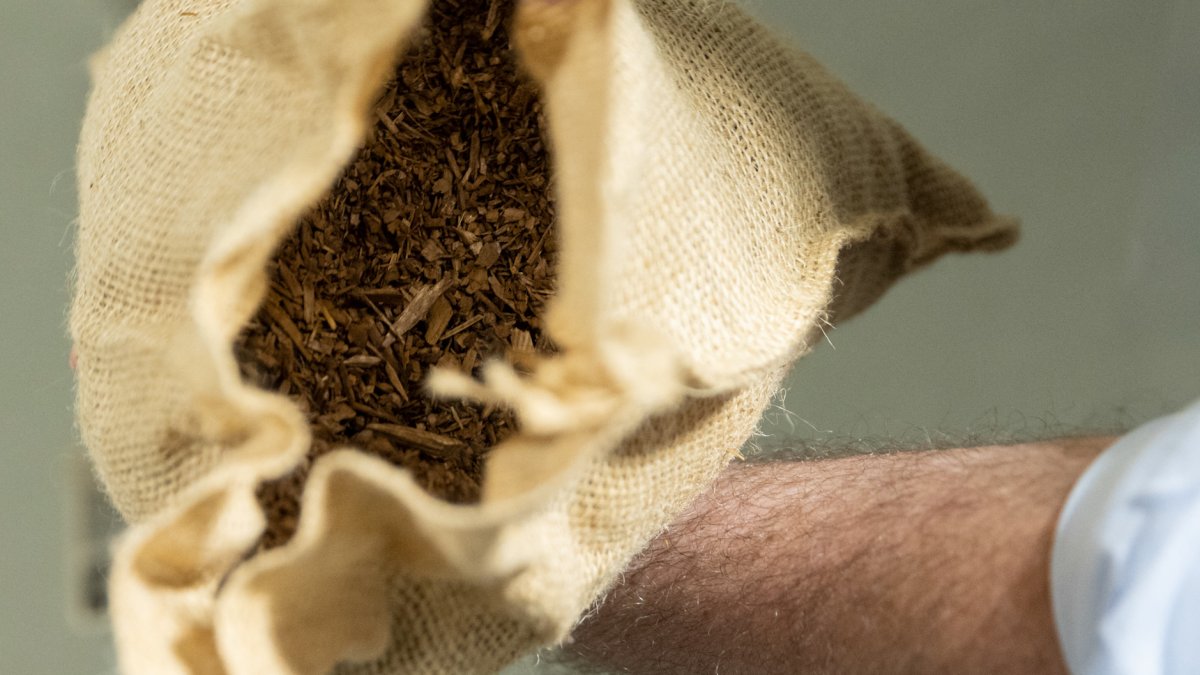 A Closer Look at Human Composting – NBC Bay Area