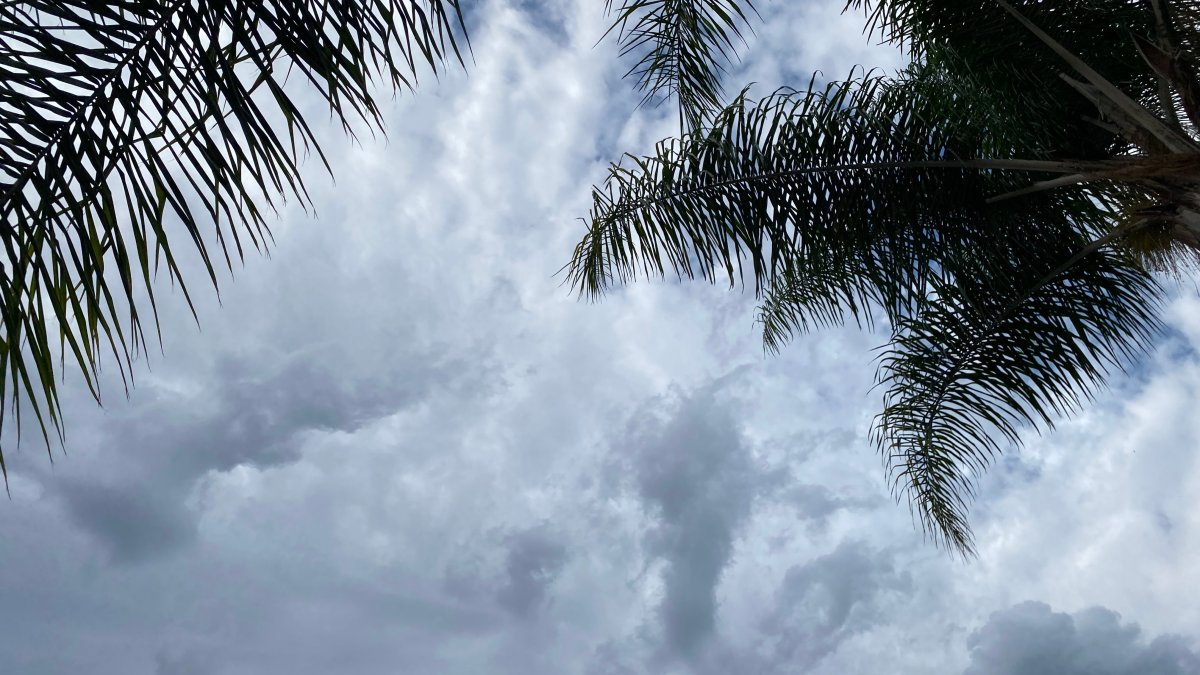 Hurricane Kay to Bring Rain, Winds to San Diego County – NBC Bay Area - Vimarsana News