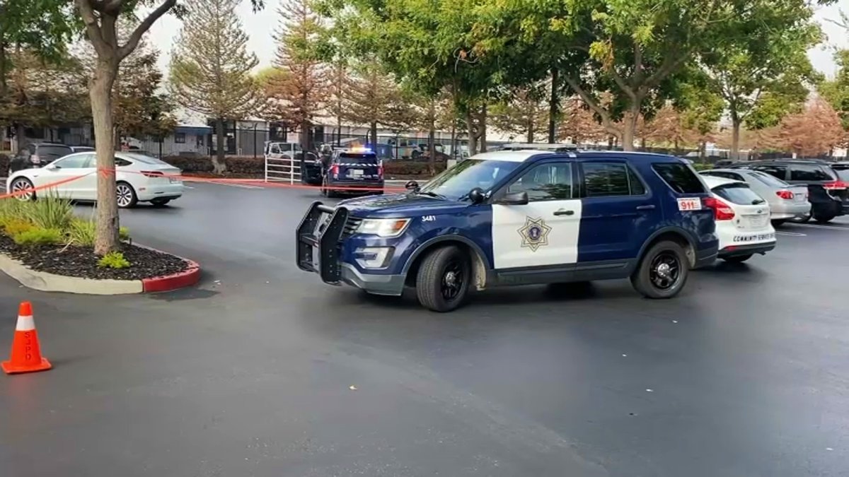 Vandalism Caught on Camera: San Jose Family Finds Dog Feces On Their Car –  NBC Bay Area