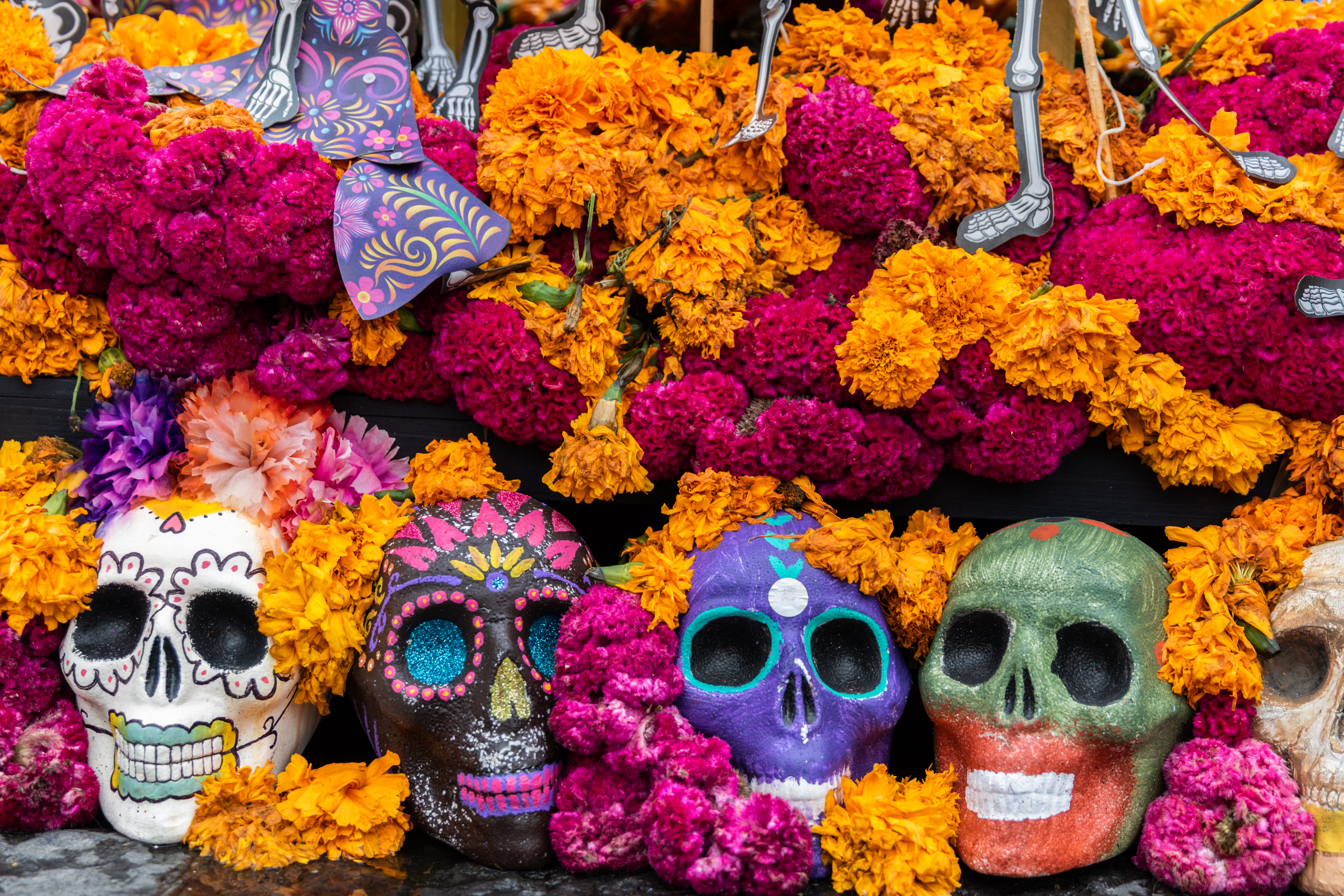 Watch what is day of the dead nbc bay area