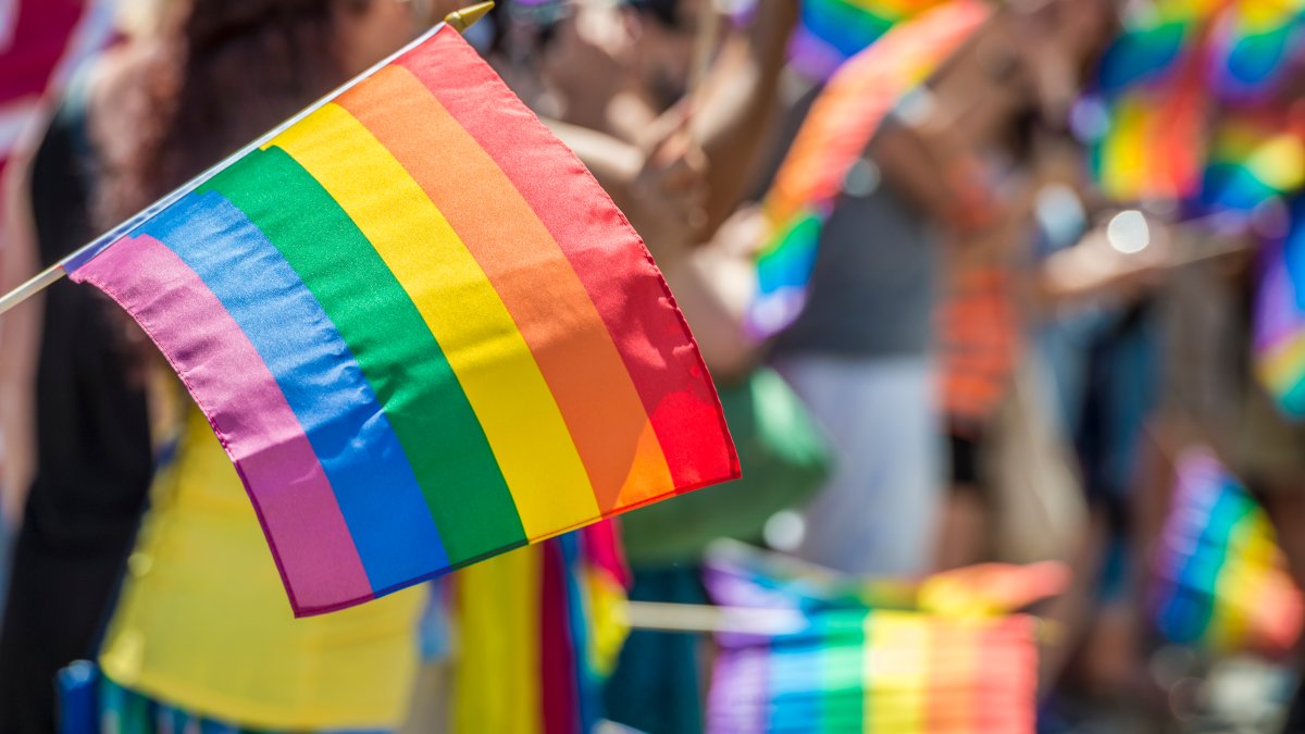 National Coming Out Day 2023: What is it and how to celebrate – NBC Bay Area - Vimarsana News