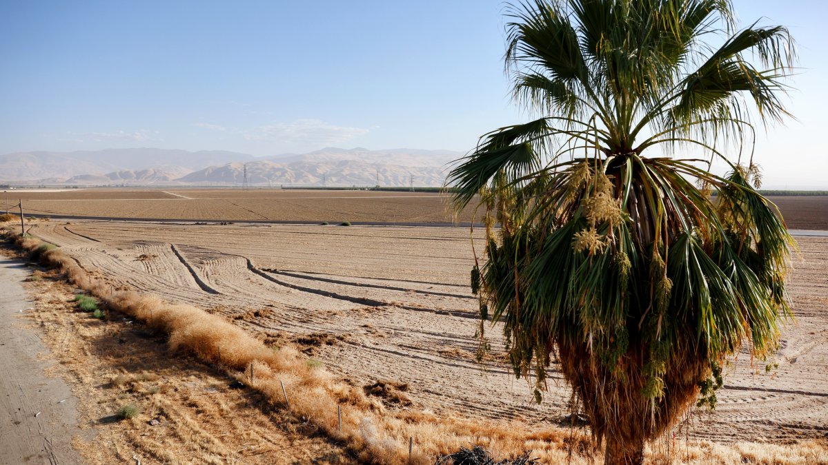 California wells run dry as drought depletes groundwater