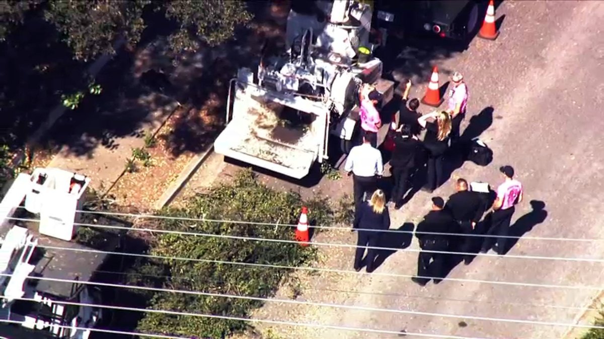 Tree Trimmer Killed in Menlo Park Identified – NBC Bay Area